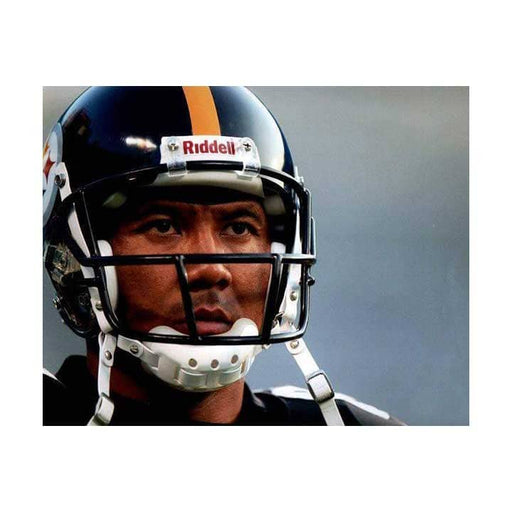 Hines Ward Close-Up Unsigned 16X20 Photo