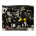 Chris Boswell Signed Spotlight Kick vs Ravens 16x20 Photo