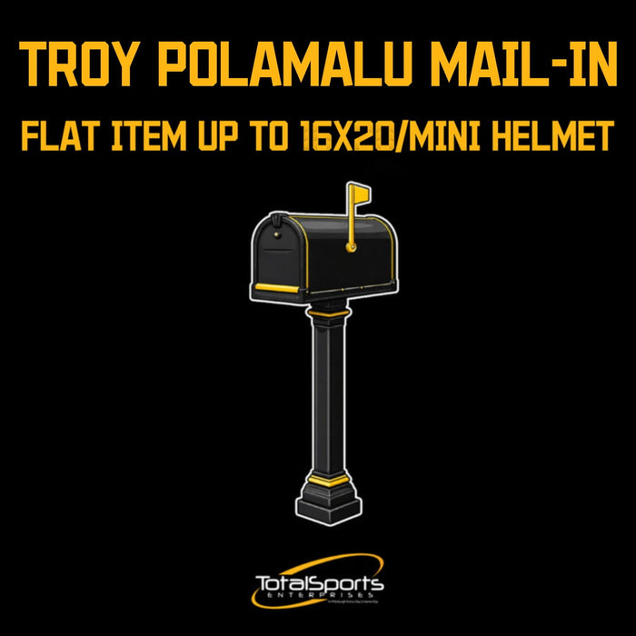 Mail-In: Get Your Flat (Up To 16x20) or Mini Helmet Signed By Troy Polamalu