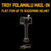 Mail-In: Get Your Flat (Up To 16x20) or Mini Helmet Signed By Troy Polamalu