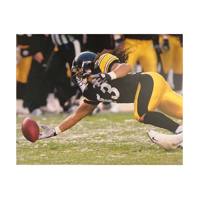 Troy Polamalu All New Diving Interception Unsigned 16x20 Photo