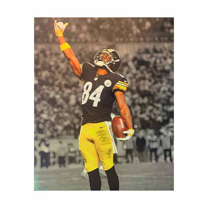 Antonio Brown One Hand Catch Bumble Bee Unsigned 16x20 Photo