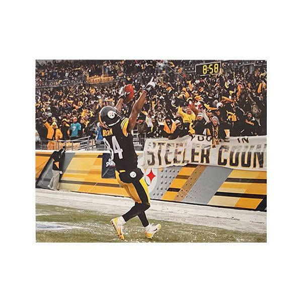 Antonio Brown Pointing to Fans Unsigned 16x20 Photo