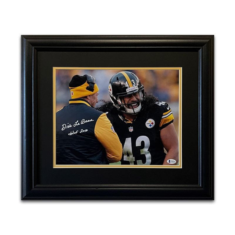 Pittsburgh Steelers NFL Helmet Shadowbox w/Troy Polamalu card