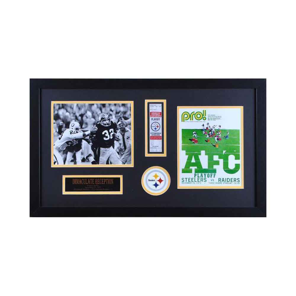 Unsigned Steelers Photos / Canvases