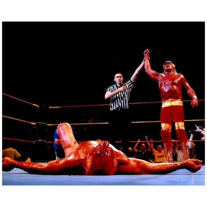 Hulk Hogan Defeating Ric Flair Unsigned 16x20 Photo