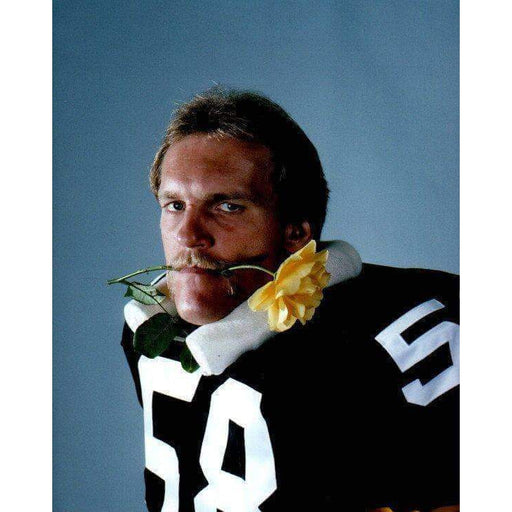 Jack Lambert Yellow Rose In Mouth Unsigned 16X20 Photo