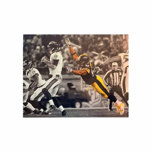 James Harrison Diving Towards Flacco Spotlight Unsigned 16x20 Photo
