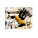 LaMarr Woodley Signed Color Leap Close-up 16x20 Photo (Black Ink)