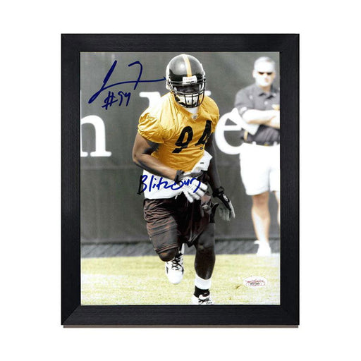 John Banaszak & Donnie Shell, Pittsburgh Steelers signed 16x20