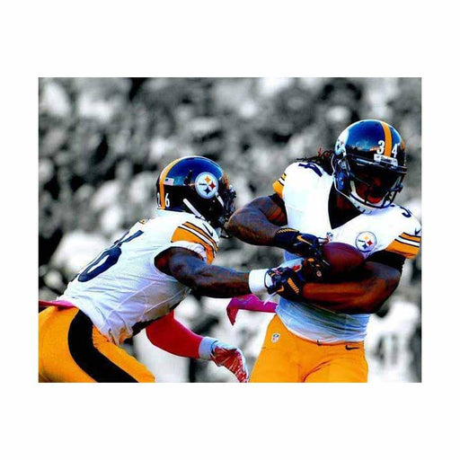 Le'veon Bell Hand Off To Deangelo Williams Unsigned Spotlight 16x20 Photo