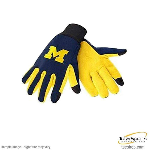 Michigan Wolverines Texting Gloves