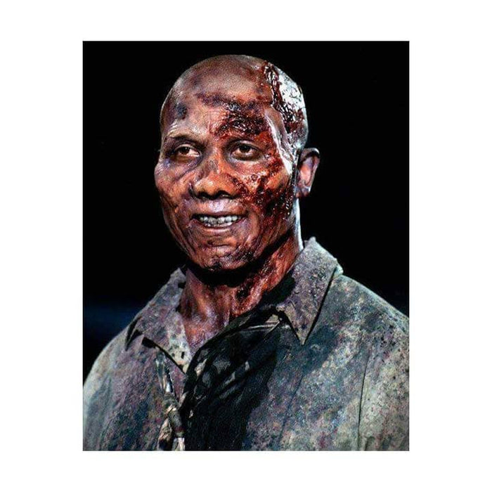 Pre-Sale: Hines Ward Signed Walking Dead Zombie 8x10 Photo