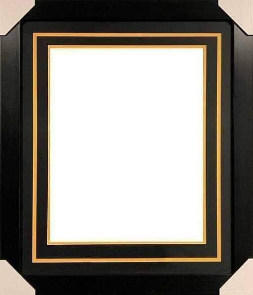 Professional Framing For 16X20 Photo No Nameplate