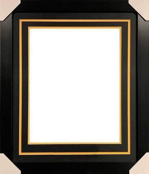 Professional Framing For 20X30 Photo (NOT GUARANTEED FOR CHRISTMAS)