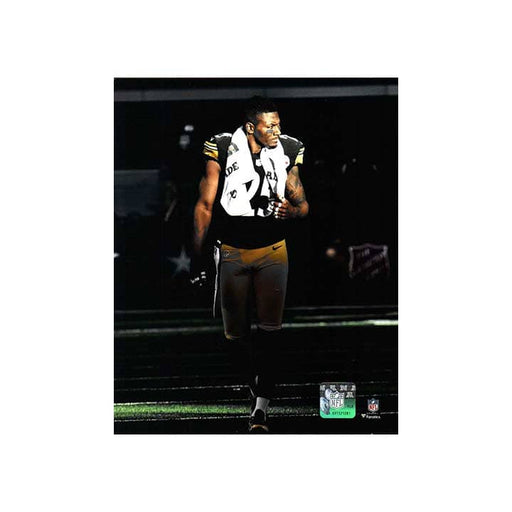 Ike Taylor Interception Over Ravens Unsigned 16x20 Photo