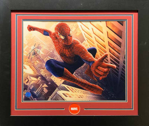 Stan Lee Signed 16X20 Spiderman Horizontal - Professionally Framed