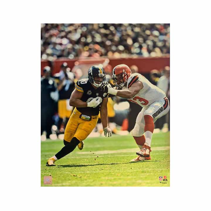 Antonio Brown One Hand Catch Bumble Bee Unsigned 16x20 Photo