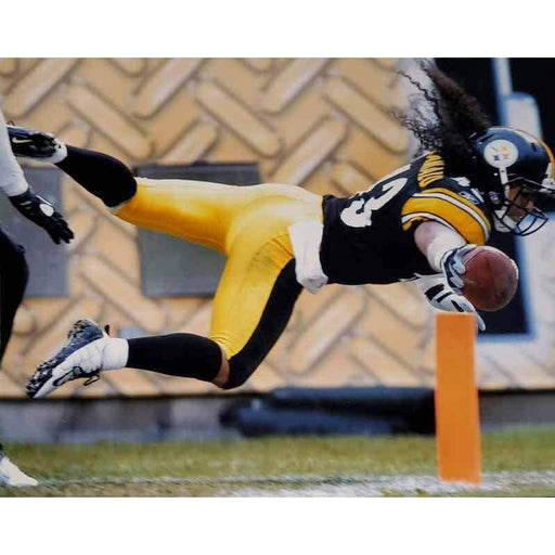 Troy Polamalu Celebrating at USC Unsigned 16x20 Photo — TSEShop