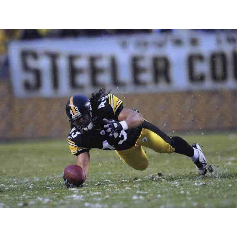 Troy Polamalu Pittsburgh Steelers Unsigned Photograph