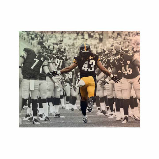 Troy Polamalu Running Threw Team Spotlight Unsigned 16x20 Photo